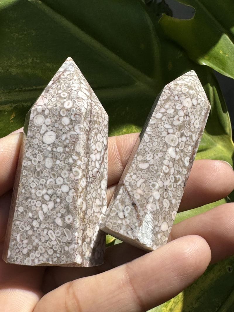 Fossilized Coral Jasper Towers from Urban Rutile