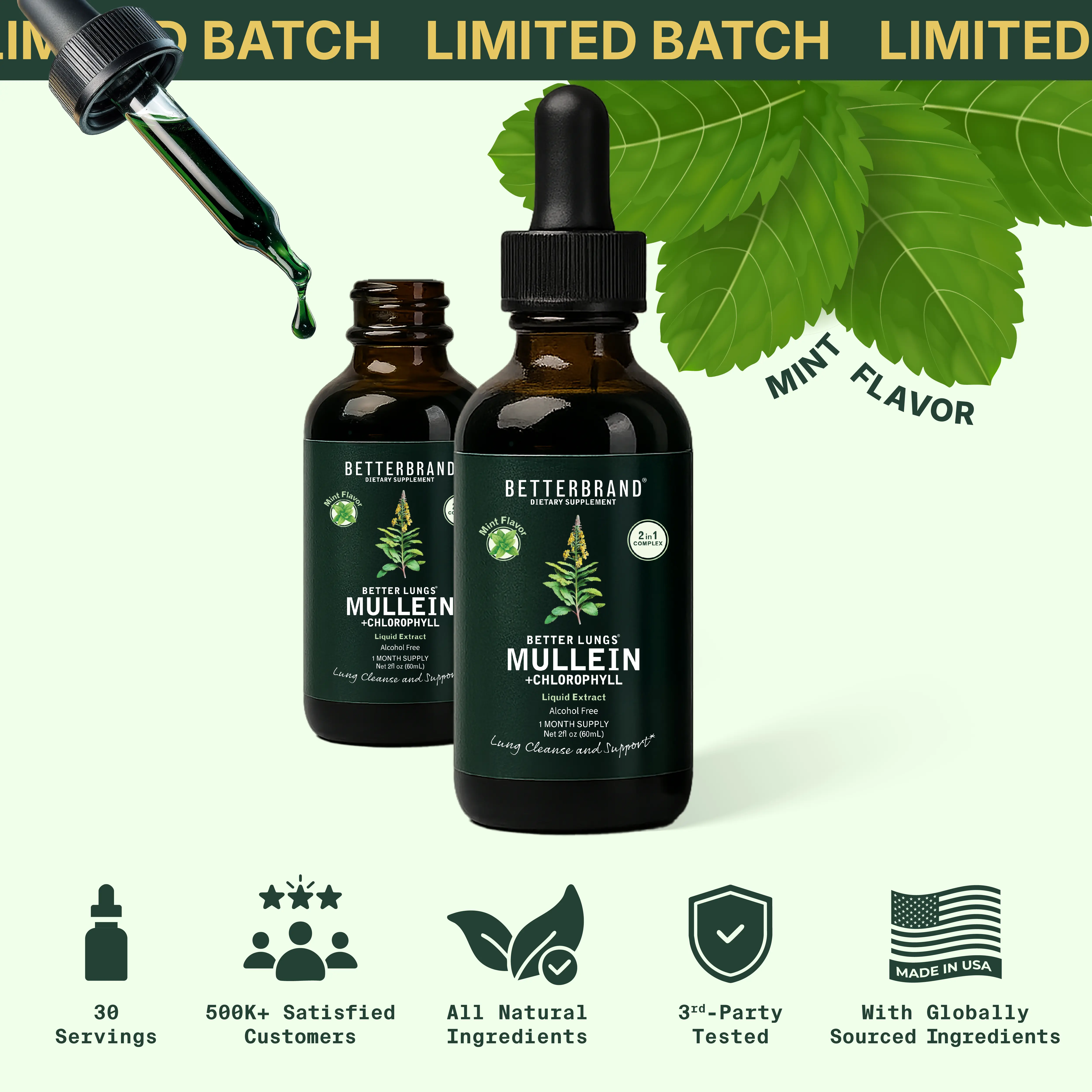 Betterbrand Limited Batch Mint Flavor Mullein Leaf & Chlorophyll Drops for Lung Detox & Mucus Cleanse - 30 Servings - Clinically Studied Natural Liquid Herbal Supplement for Respiratory Wellness