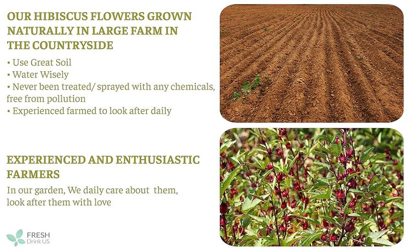 Hibiscus Tea, Premium Hibiscus Flowers Tea Bags, 100% Natural, Pure from Hibiscus Flowers. Loose Flower Hibiscus Herbal Tea. Hibiscus Flower Tea. No Sugar, No Caffeine, No Gluten, Vegan. hibiscus tea Beverage