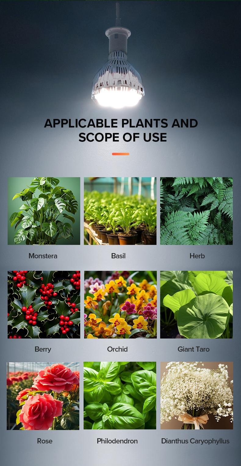 Sansi 40W Full Spectrum Grow Light, with Optical Lens and High PPF,with 5-Level Dimmable, Auto On Off 4 8 12 Hrs Timer for Seeding and Growing energy efficient Sansi 40W Full Spectrum Grow Light, with Optical Lens and High PPF,with 5-Level Dimmable, Auto On Off 4 8 12 Hrs Timer for Seeding and Growing energy efficient