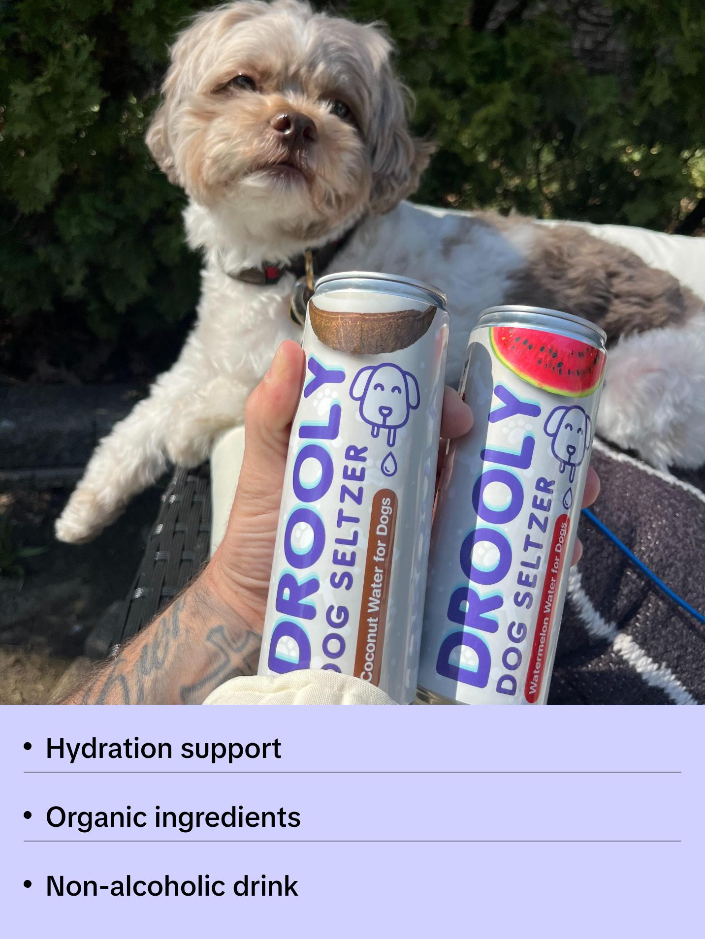 DROOLY Dog Beverage by Yappy Hour - Organic Watermelon-Infused Water ...