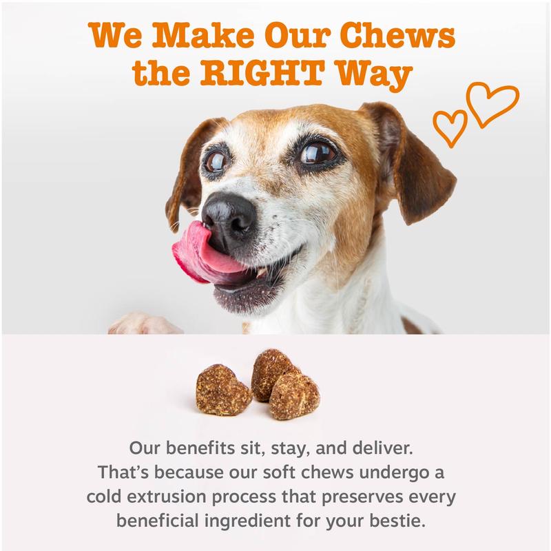 Zesty Paws Probiotic Bites for Dogs - Canine Nutritional Supplement with Six Probiotics for Gut Health & Immune Function