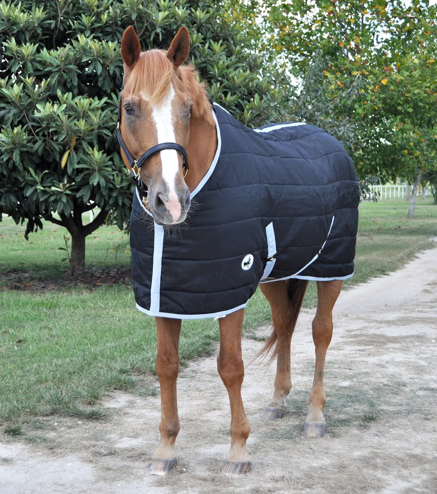 Jeffers Closed Front 240g Fill Stable Blanket for Horses Jeffers Closed Front 240g Fill Stable Blanket for Horses