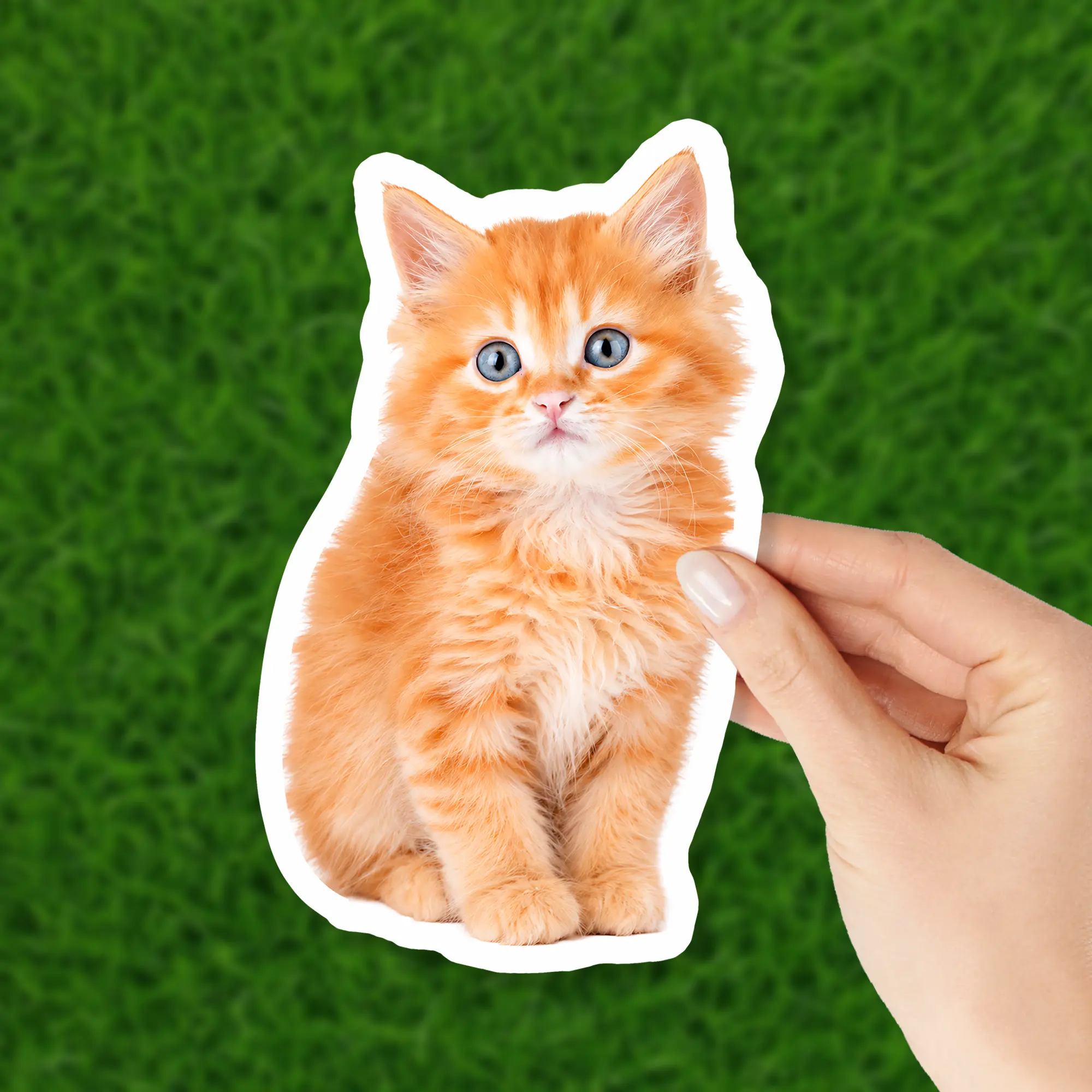 50 PCS Custom Photo Vinyl Stickers - Waterproof Die-Cut Automotive & Motorcycle Decals for Laptop, Water Bottle