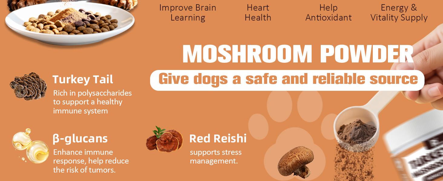 Petrivium Allergy & Itch for Dogs,Dental cleaning powder,32-in-1 Mutivitamin,Probiotic Chews,Turkey tail mushroon, powder,Hip&Joint chews,Natural drops for dog