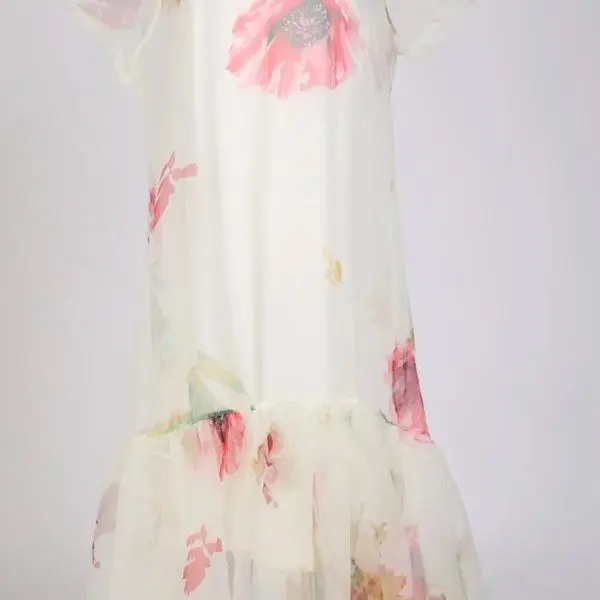 Chloe sheer dress