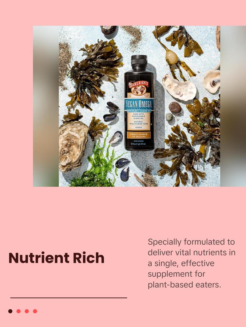 Barlean's Vegan Omega Liquid Flax and Algae Oil Plant Based EPA DHA Supplement Healthcare Fitness