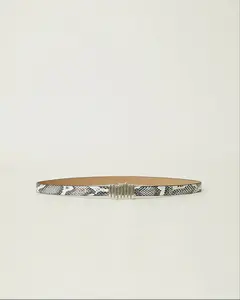 Vesna Mini Python