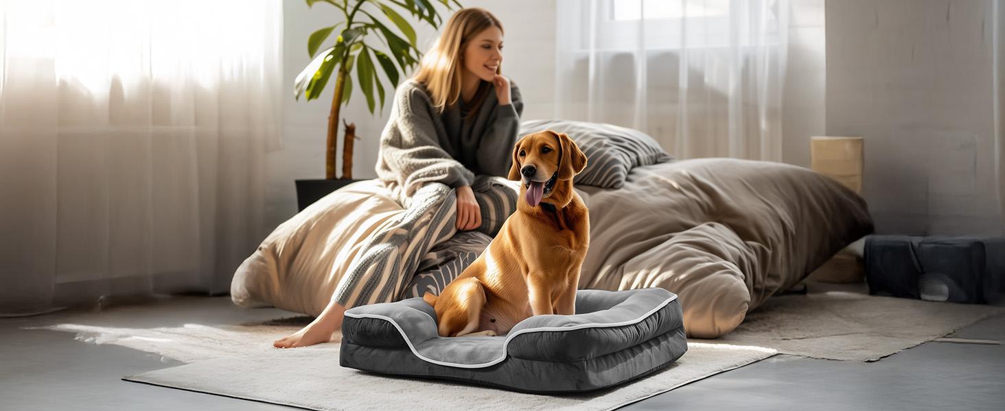 Orthopedic Dog Bed, Memory Foam Pet Bed for Medium Dogs with Washable Removable Cover Non-Slip Base Waterproof Liner Egg Crate Foam for Improved Sleep