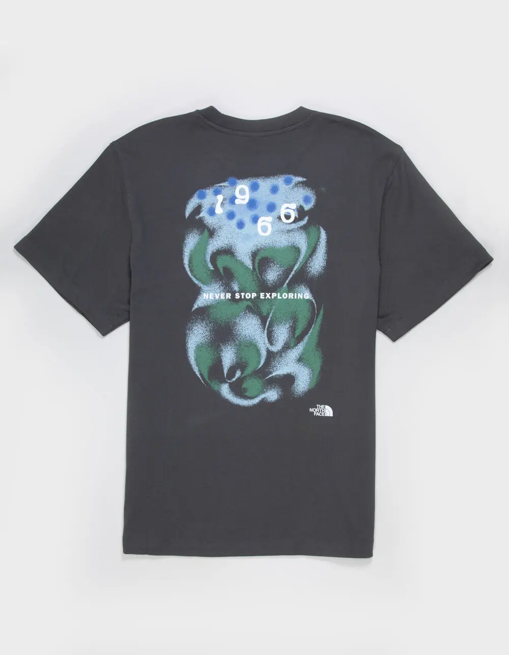 THE NORTH FACE 1966 Motion Mens Tee