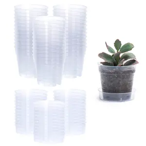 5 pack - Clear Nursery Pot with an Interlocking Saucer