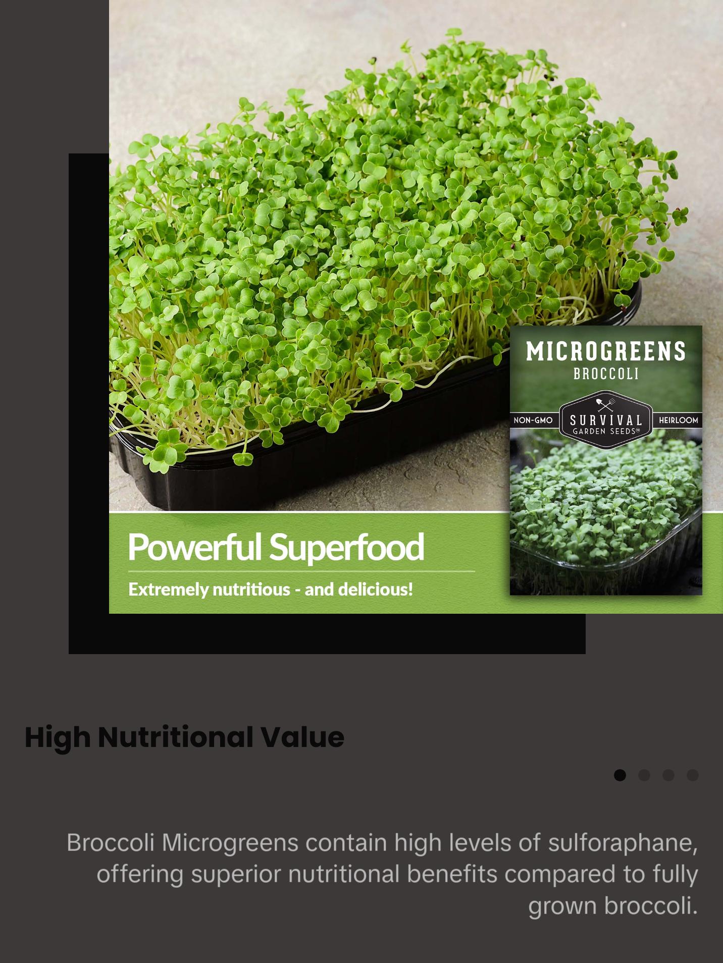 Broccoli Microgreens Seeds