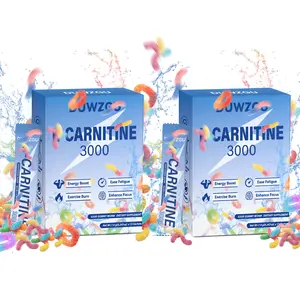 3000mg Carnitine Extra Strength | Workout Performance Support | Amino Acid Fitness Supplement