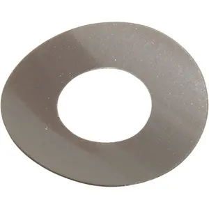 Gasket, Blue-White A-100 Chemical Pump, Head Spacer