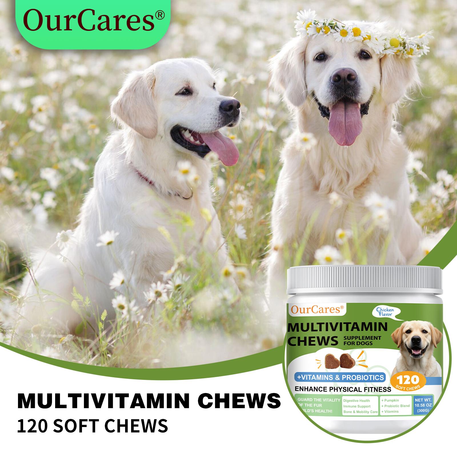 OurCares Dog Multivitamin Supplements 120 Count Dog Multivitamin Chewable  Immune Joint Support Skin Gut Health Glucosamine & Probiotics - Safe for Senior & Puppy Multivitamin - Chicken Flavor Pet Daily Chews Snacks
