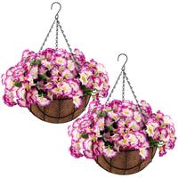 dark purple(petunia)