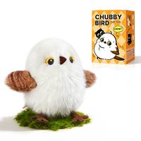 Chubby Bird