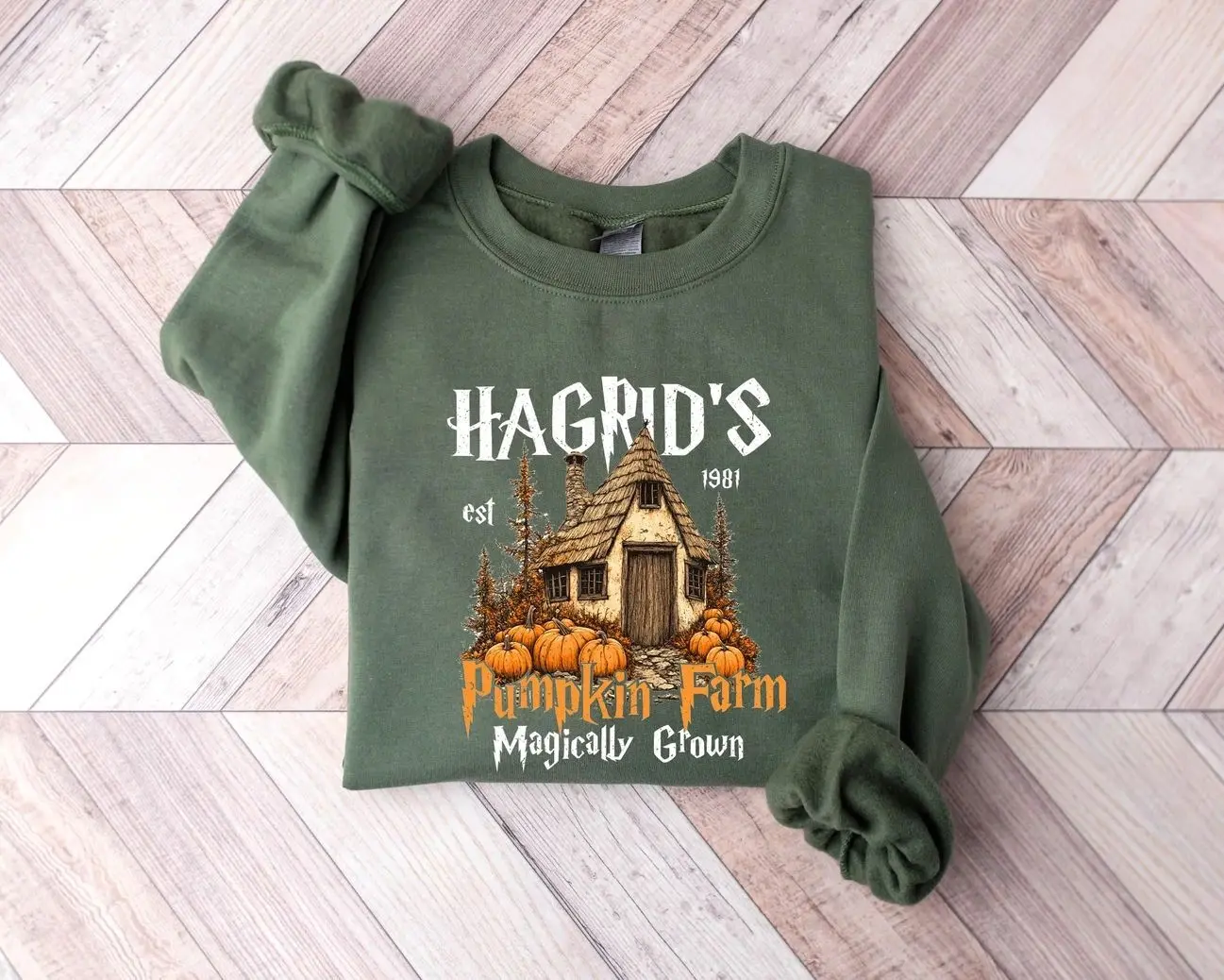 Hagrid's Pumpkin Patch Sweatshirt, Hagrid's Pumpkin Farm Crewneck, Wizard Magical Fall Sweatshirt, Cute Spooky Season Shirt, Halloween Pumpkin Graphic Tee, Cozy Autumn Cottagecore Apparel, Book Lovers Thanksgiving Gift for Women & Men