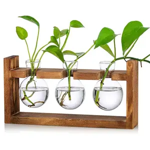 Proposal Vase Glass Plant Terrarium - 3 Bulbs Propagation Station with Retro Wood Stand Indoor Garden Planter, Bulb Vase & Desktop Decor for Home Kitchen Wedding, Gift for Women & Plant Lover