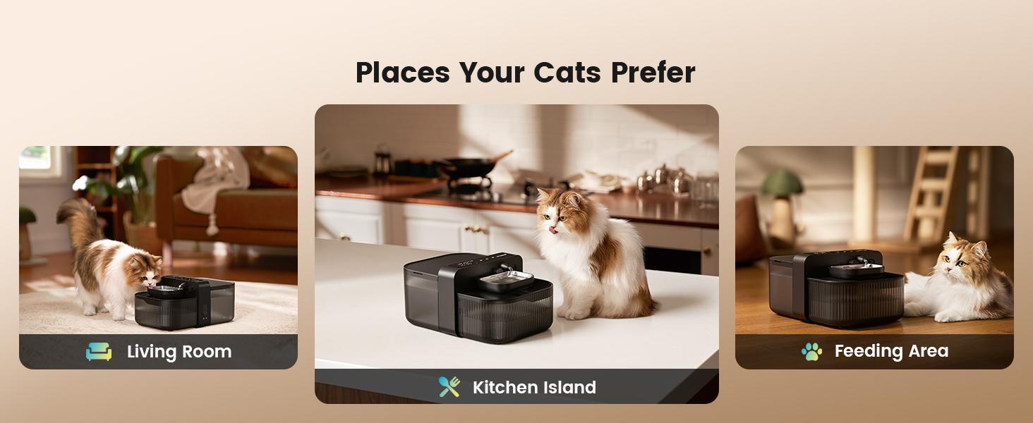 Oneisall Filterless Cat Water Fountain | 3.5L Automatic Stainless Steel Pet Dispenser with Separated Clean & Waste Tank, 2000mAh Battery (64-113 Days Runtime), Cordless, Detachable Easy-to-Clean Bowl, Scheduled Water Change (Up to 6x Daily)