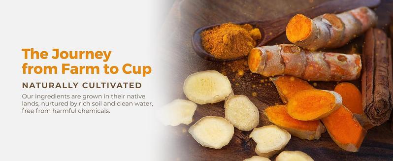 Turmeric Ginger Cinnamon Tea, 100% Natural, Anti-Inflammatea. Eco-conscious Tea Bags. Turmeric Ginger Herbal Tea. No Sugar, No Caffeine, No Gluten, Vegan. antiinflamma tea, looseleaf tea Beverage anti in flama tea ginger caffeine free