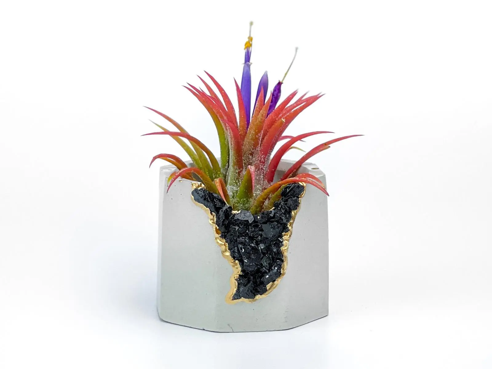 Black Tourmaline Geode Planter Handmade Succulent Pot yoga