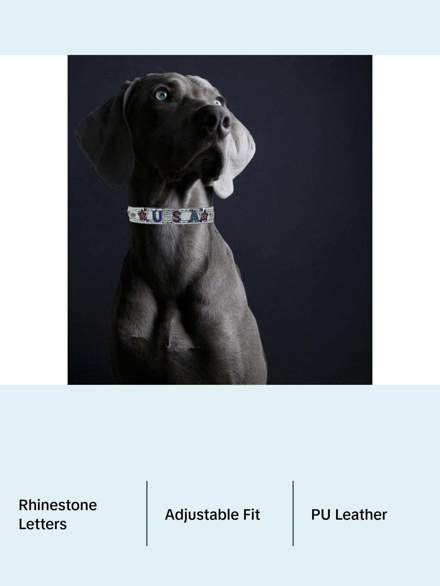 ALPHABET Shine Personalized Handmade PU Leather Dog Collar