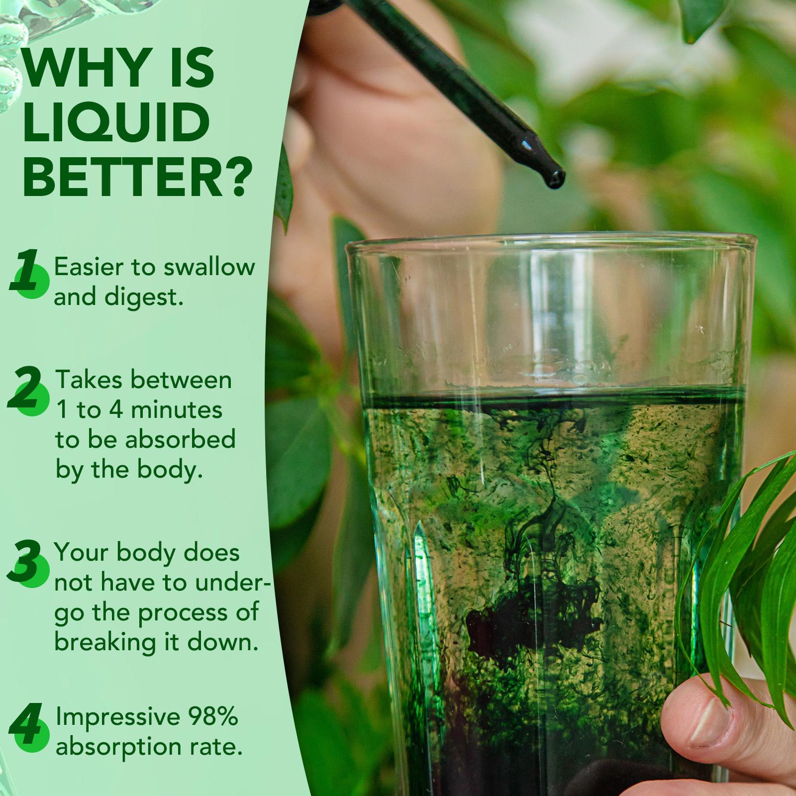 Acentiallabs Chlorophyll Liquid Drops - for Digestion, Gut Health, Energy and Detox - Vegan Safe (Rich, Full Texture and Taste, Not Watered Down) Healthcare Vitamin liquid chlorophyll