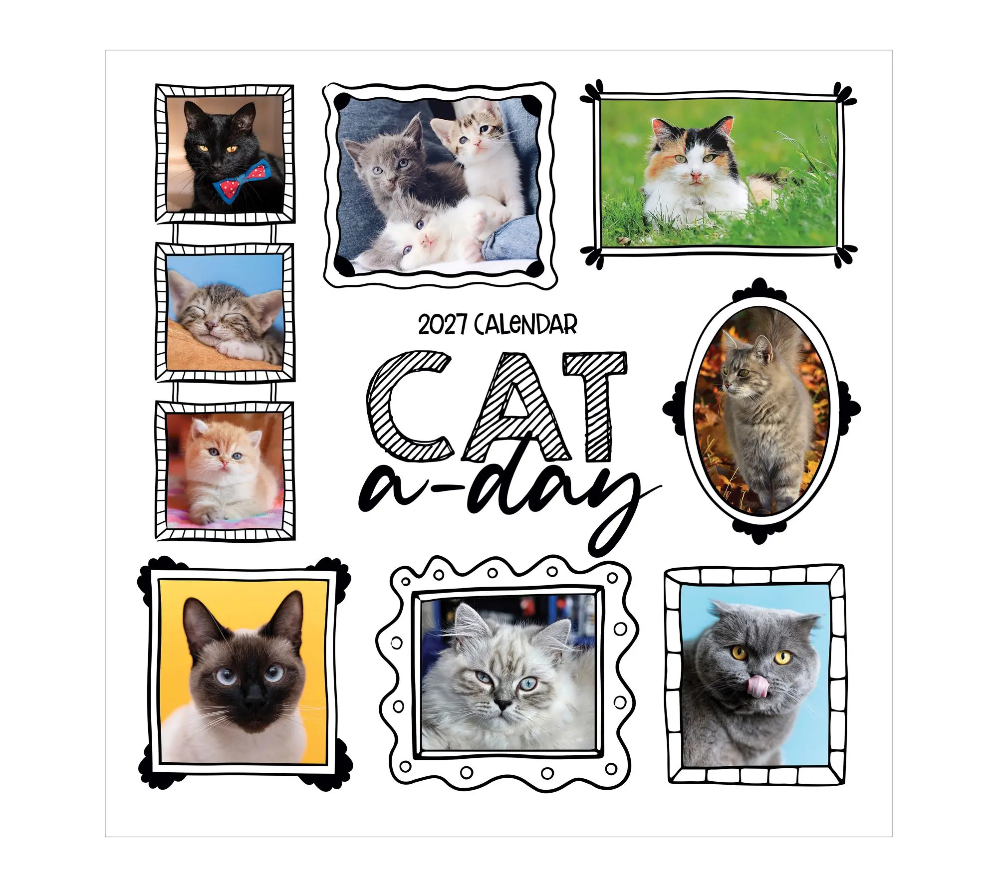 TF Publishing Cat A Day Wall Calendar
