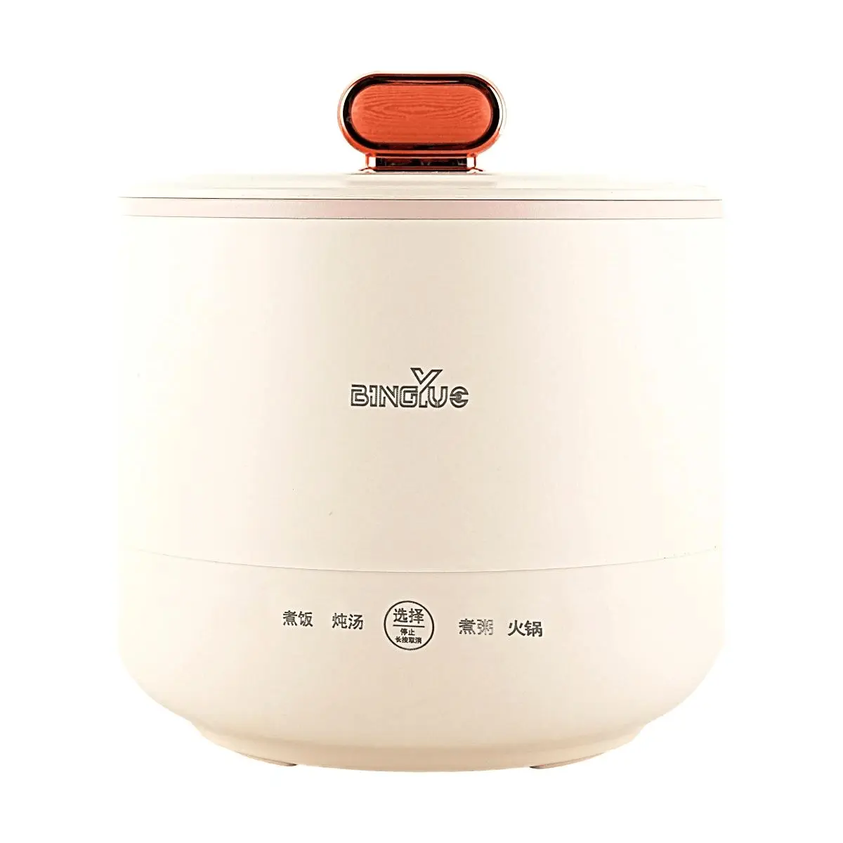 Chinese Brand Smart Mini Electric Cooker 1.6L, Multifunctional Non-stick Pot, Temperature Control, US Plug 110V