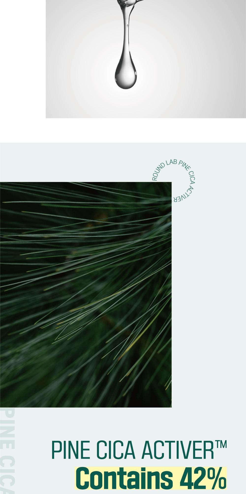 [PINE CICA LINE] Pine Calming Cica Cream_50ml (facial cream)