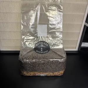 5LB ALL IN ONE MUSHROOM GROW BAG