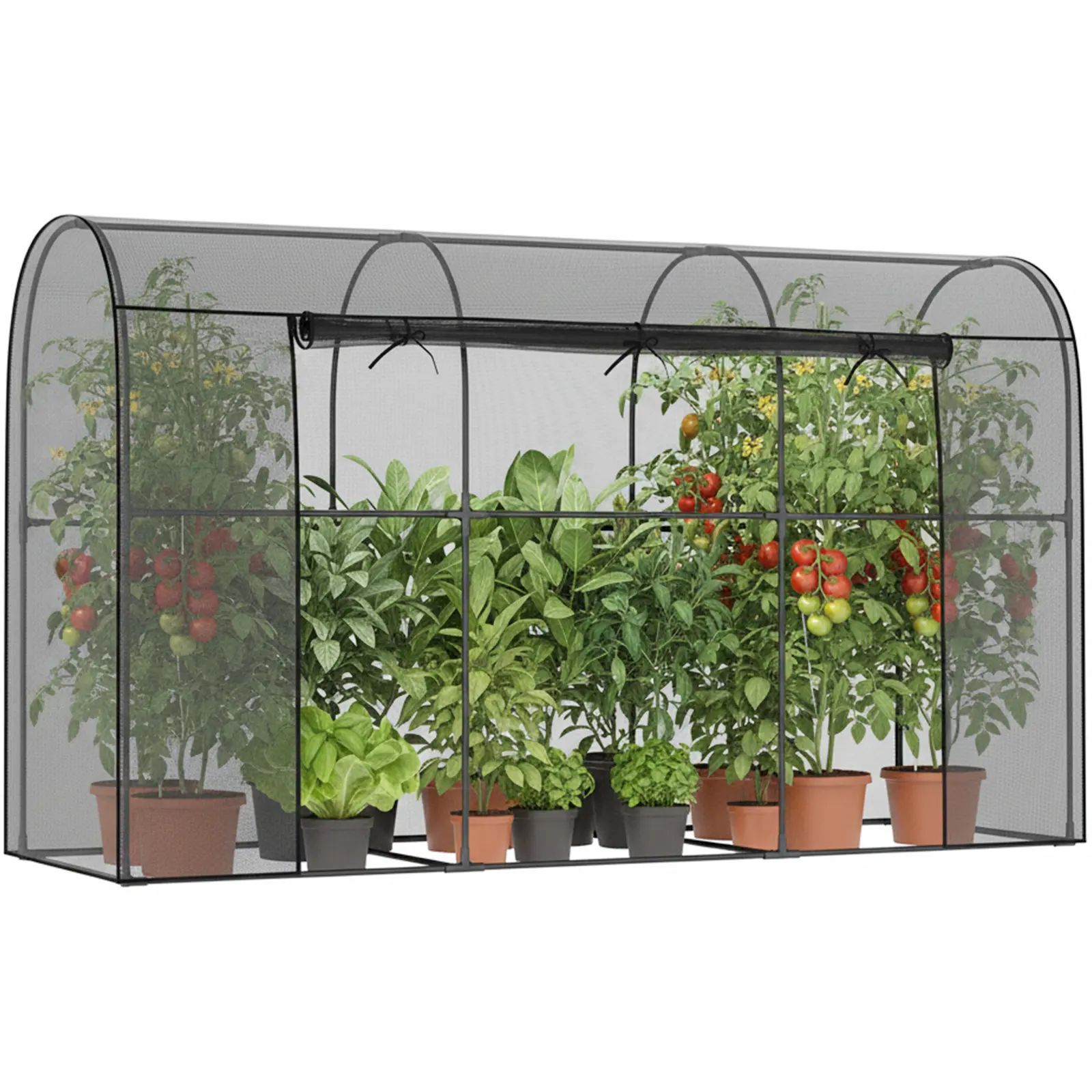 9.8 x 3.3 x 6 Ft (Round)-Black