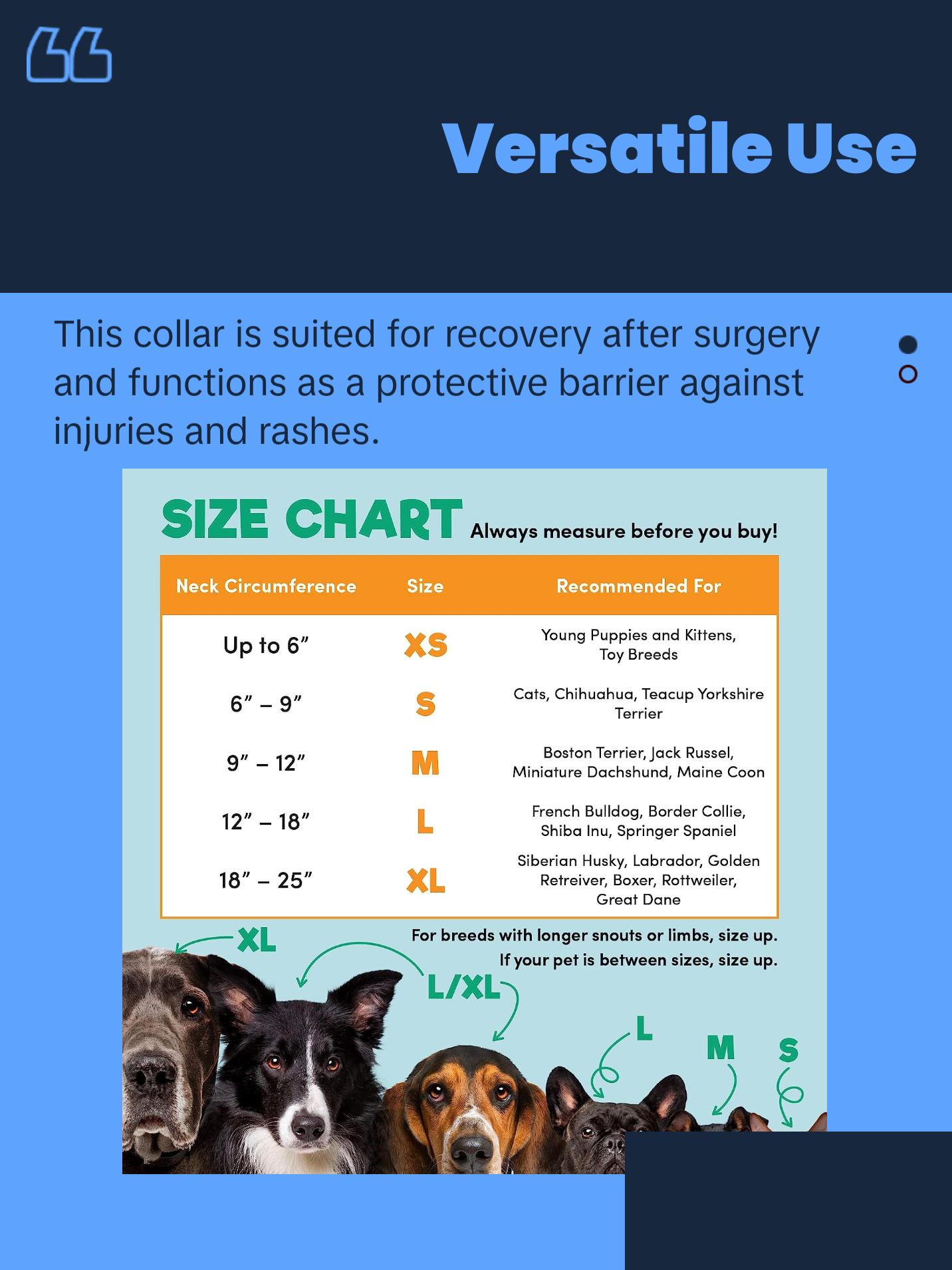 Protective Inflatable Collar for Dogs and Cats - Soft Pet Recovery Collar (Large, Blue)