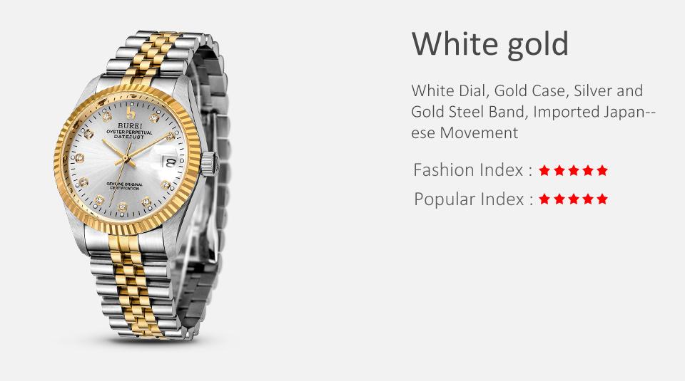 BUREI Men's Luxury Automatic Watch Two Tones Stainless Steel Dress Wrist Watches Self-Winding