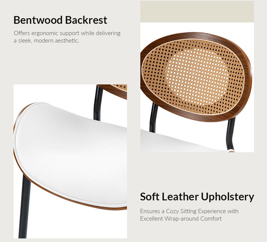 HULALA HOME Flora Modern Dining Chair with Curved Wood Backrest and Faux Leather Cushion, Rattan Woven Accent and Breathable Mesh Back, Ergonomic Wrap-Around Comfort, Upholstered Side Chair for Dining Room, Kitchen, Living Room