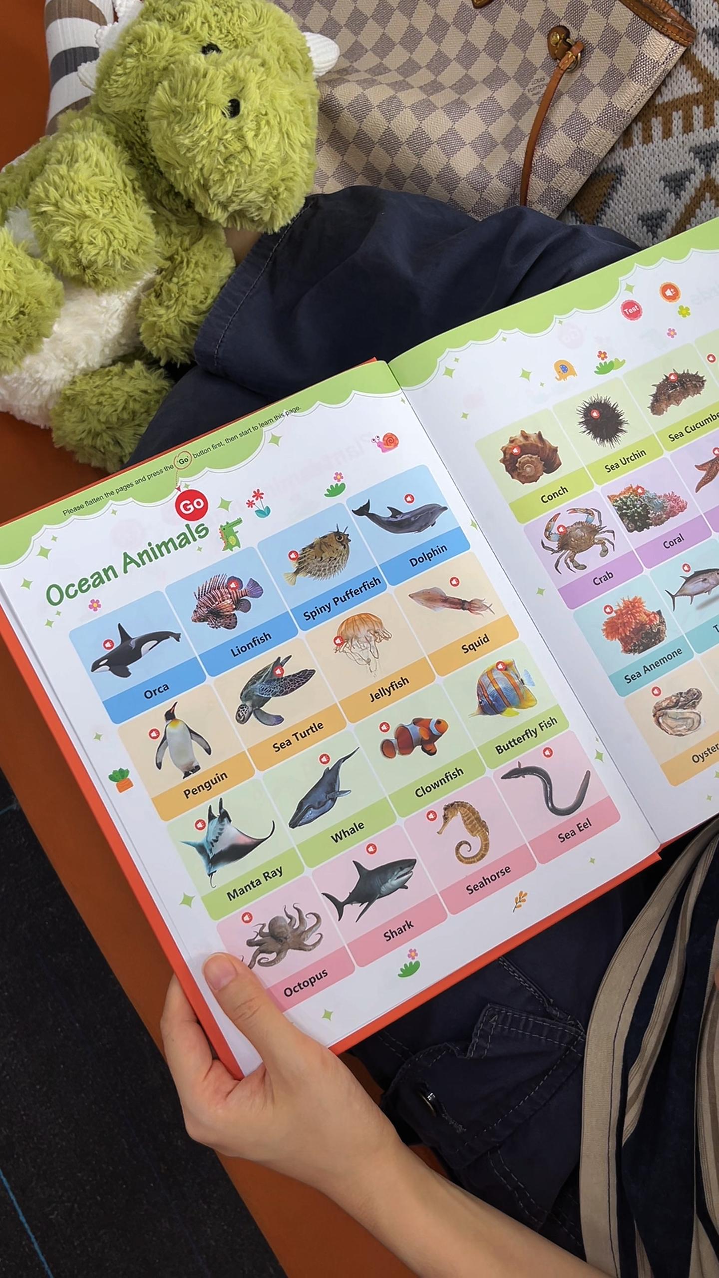 Educational Talking Sound Book – 470+ Words, 21 Themes, 6 Songs & Piano Keys | Perfect Gift for Kids Ages 3–9 | Fun & Interactive Learning Toy Colorful Car