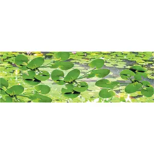 JTT Trees & Shrubs 95537  LILY PADS 3/4', HO
