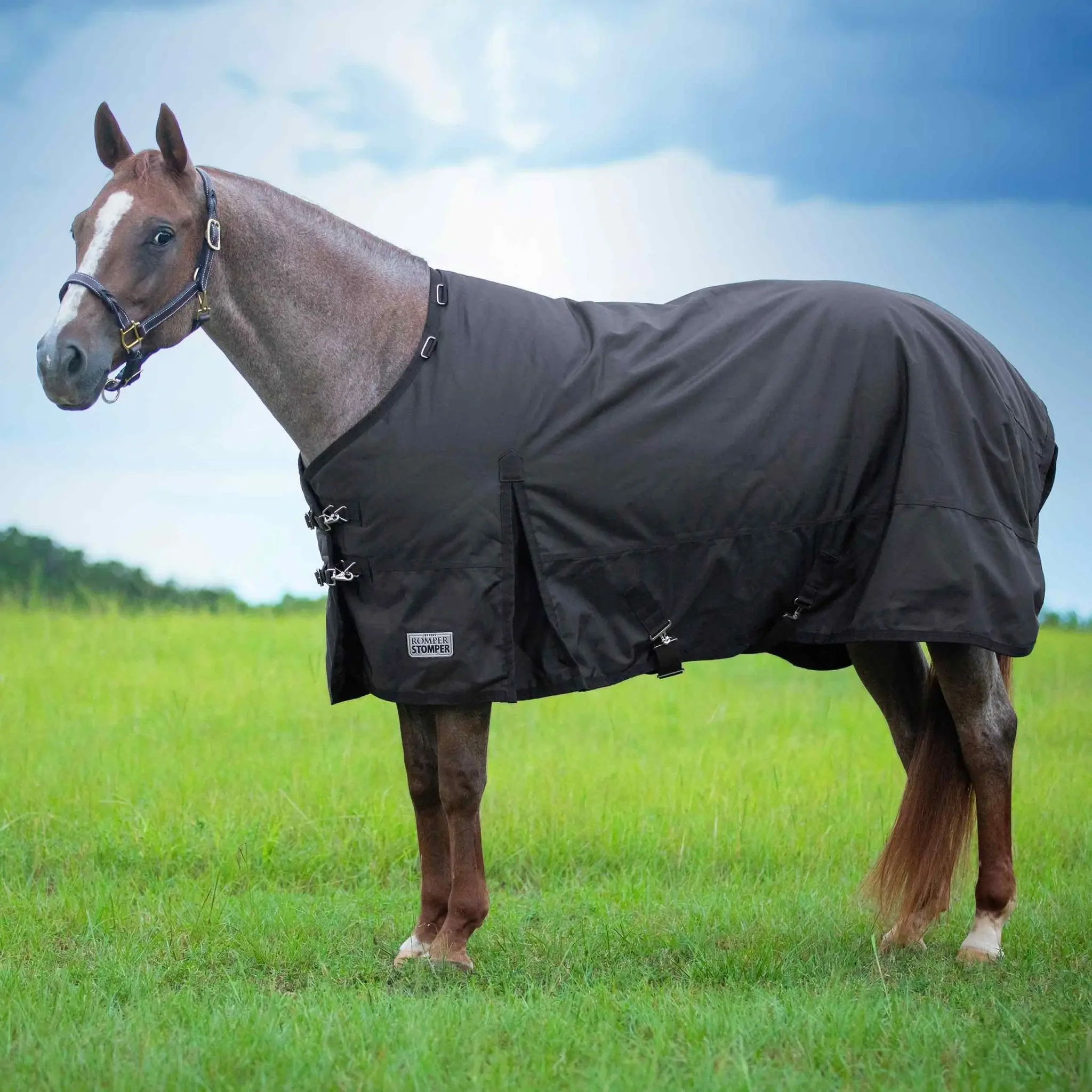 Jeffers Romper Stomper Light Weight Horse Turnout Blanket, 1680D, 180g Fill, Brown