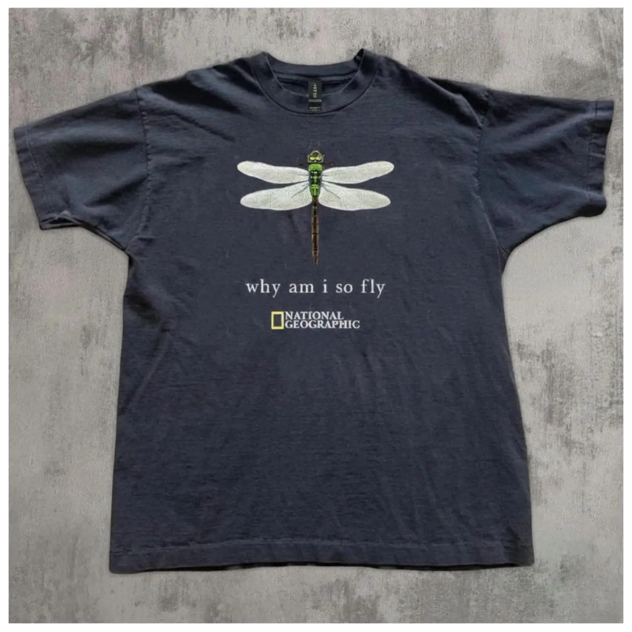 100% Cotton National Geographic "Why Am I So Fly" Dragonfly Graphic T-Shirt, Gifts Shirt, Unisex Vintage Graphic Tees Gothic Grunge Y2k Emo Scene Amity Affliction Style Clothes Men Women Streetwear