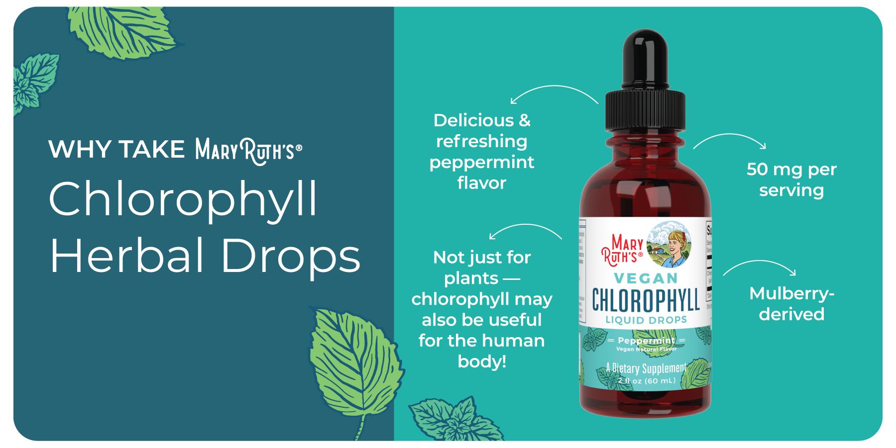 MaryRuth's Vegan Chlorophyll Liquid Drops - Non-Diluted Liquid Chlorophyll - Mulberry Derived Supplement - Non-GMO - Delicious Minty Flavor - 2 Fl Oz