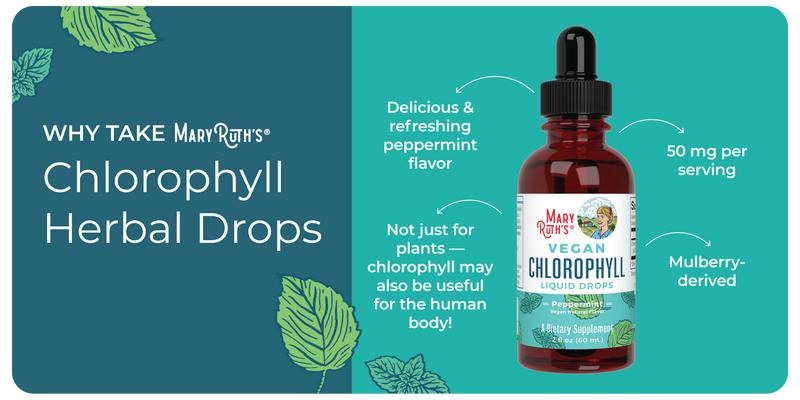 MaryRuth's Vegan Chlorophyll Liquid Drops - Non-Diluted Liquid Chlorophyll - Mulberry Derived Supplement - Non-GMO - Delicious Minty Flavor - 2 Fl Oz