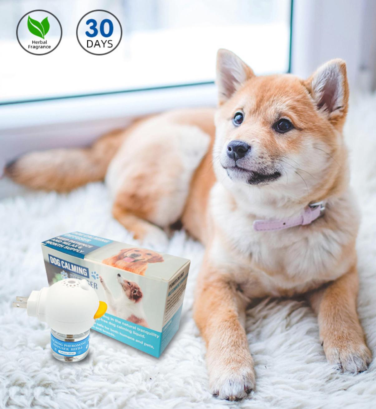 Advanced Dog Calming Diffuser Kit 1-2 Pack Stops Peeing Barking Anxiety Odorless Scented Room Aromatizer with Soft Blue Light Indicator for Calm Dog Environment