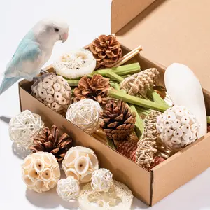 JOUSONTY 40 Pcs Bird Parrot Toys, Natural Bird Foraging Toy for Cockatiels, Lovebirds, Budgies, Small to Medium Parrot