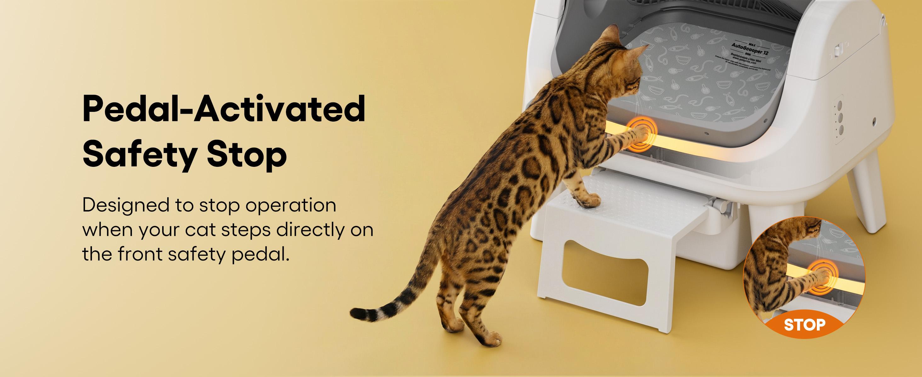 PetPivot AutoScooper 12 Open-Top Self-Cleaning Cat Litter Box – Sealed Waste Drawer, Includes Trash Bags & Entry Step