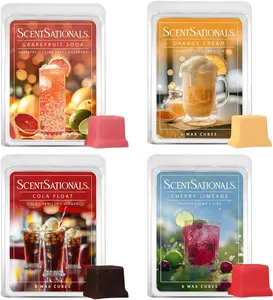 Fizzy Delights - Wax Melt Variety 4pk