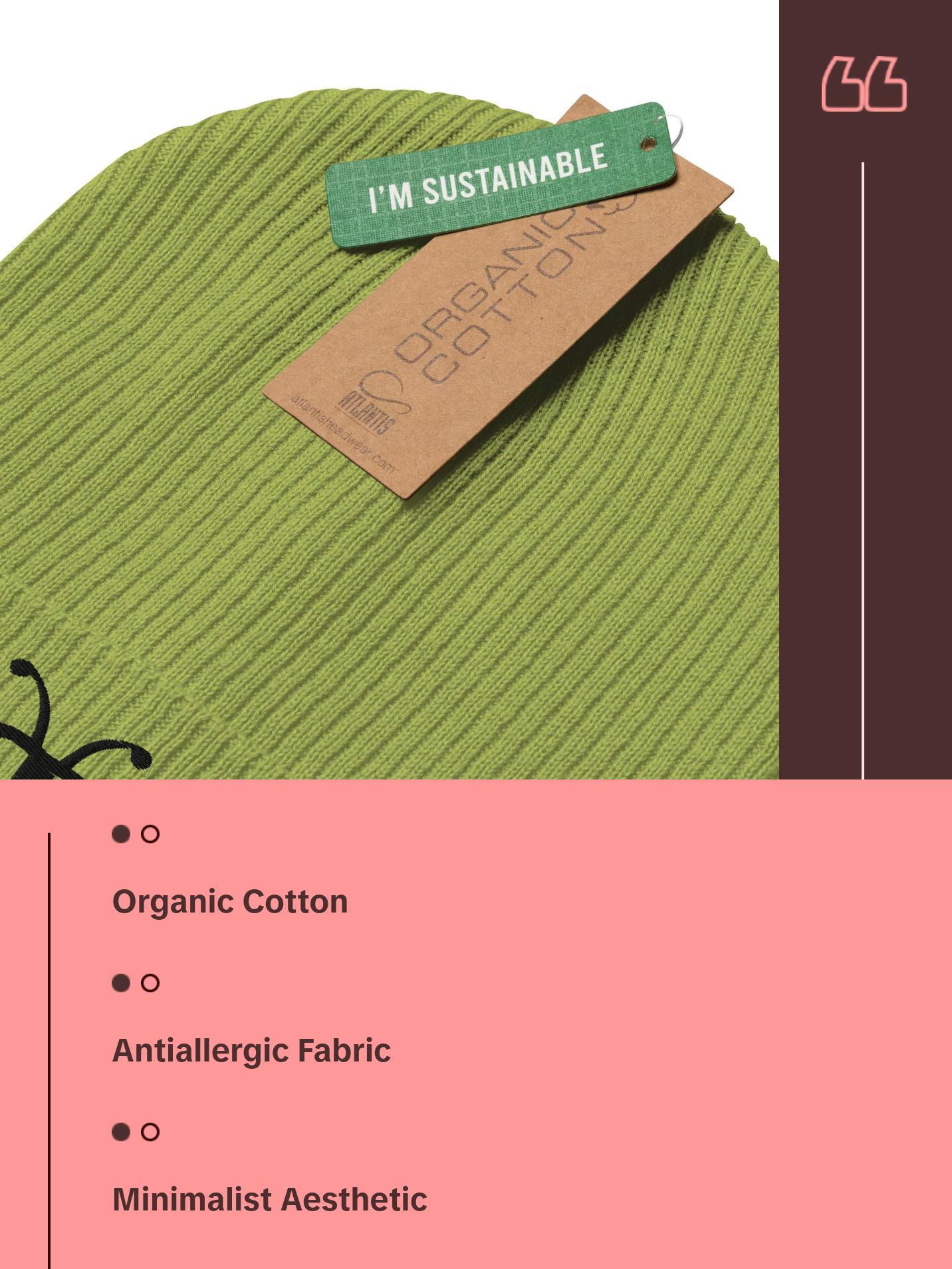 EcoLux Street Knit Beanie - Berliozaboyz Organic