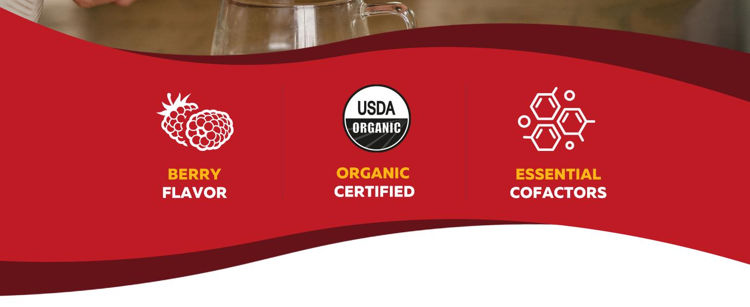 Liquid Iron Supplement | Organic Certified Berry Flavor – Boosts Vitamin C Absorption & Supports Healthy Iron Levels with Methyl B12, L-Methylfolate & B6 – 7.6 oz Healthcare Dietary