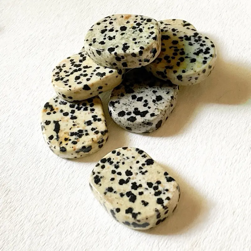 Reiki Attuned Dalmatian Stone Jasper Polished Token