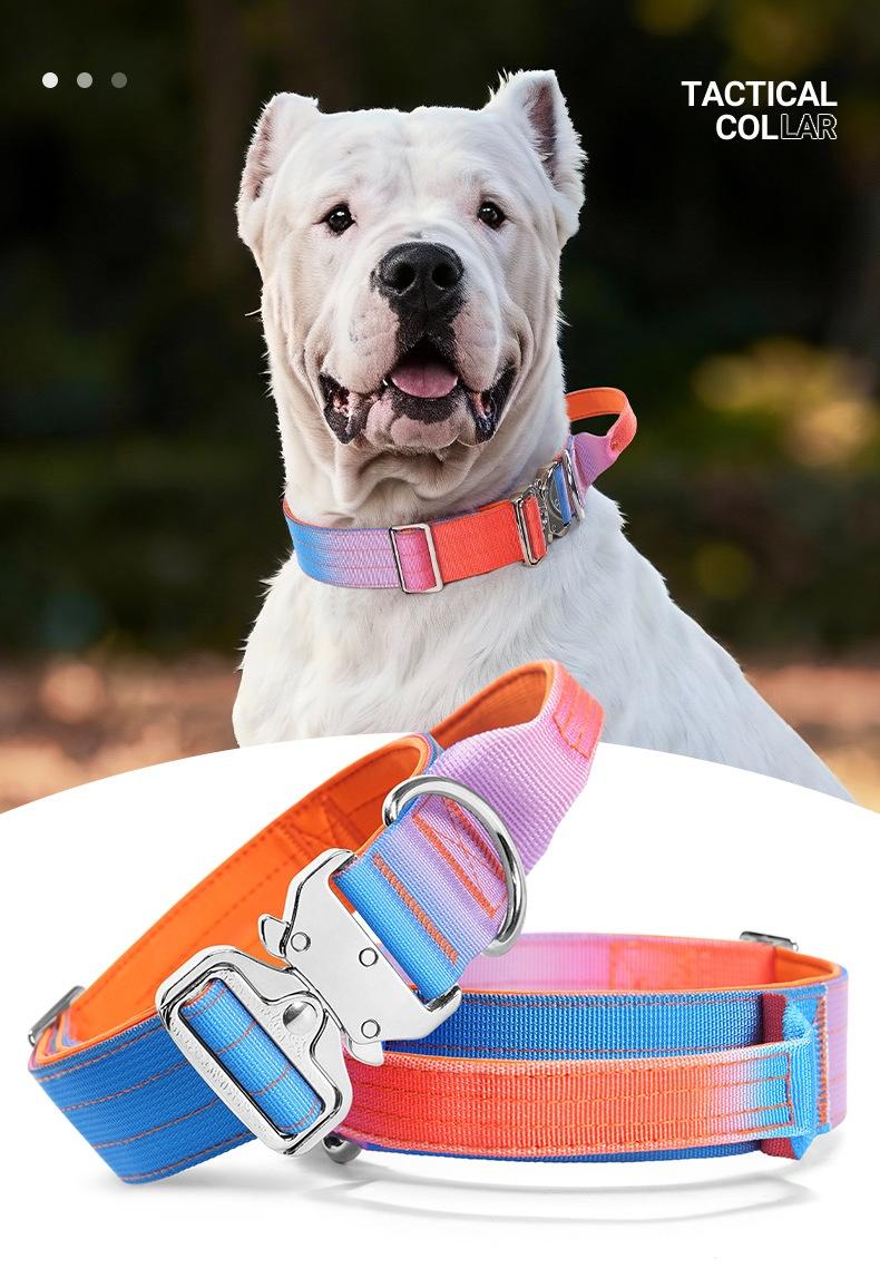 Gradient Tactical Dog Collar, Heavy Duty No Pull Training Collar with Control Handle & Metal Buckle for Medium Large Dogs